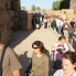 Nile-04