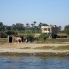 Nile-19